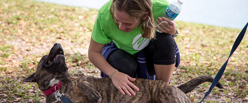 2020 Power to Care week at Big Dog Ranch Rescue in Loxahatchee, Fla. on March 7, 2020.