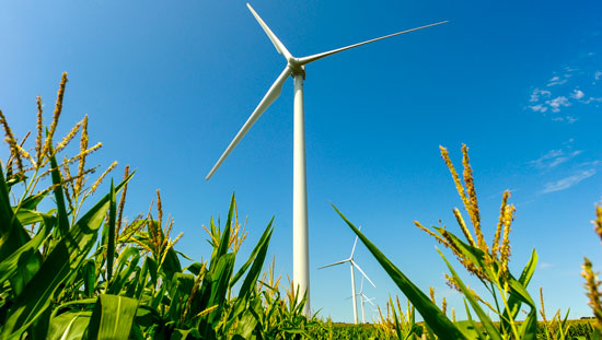 Beautiful vegetation by a NextEra Energy Wind tower Beautiful vegetation by a NextEra Energy Wind tower