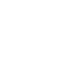 Report Icon