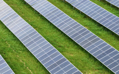 Amite-Solar-Tangipahoa-Parish
