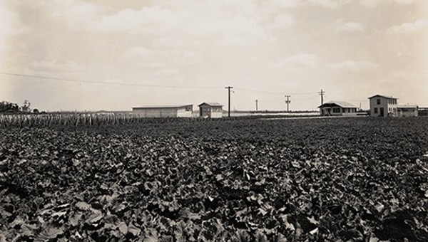 Acres of farmland