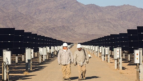 FPL employees walking through a solar farm