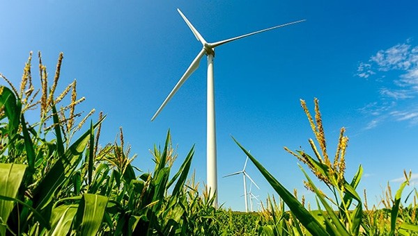 Wind turbines on green farmland