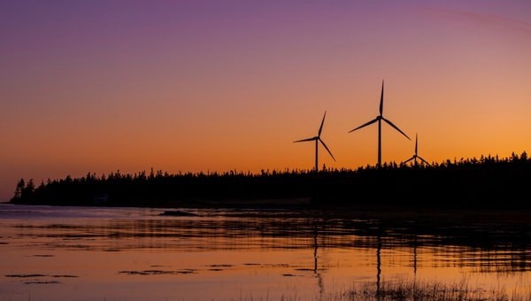 Wind turbines on swampland