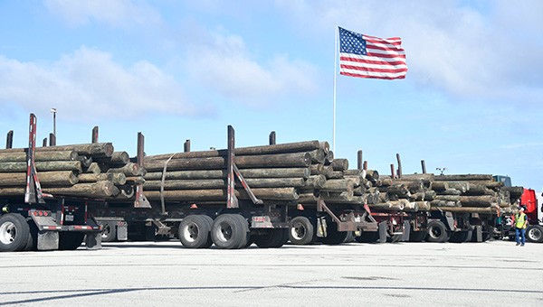 Trucks carrying lumber for Hurricane Maria relief