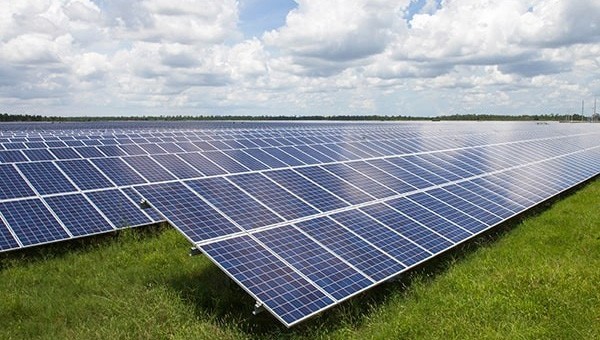 Solar farm with solar panels