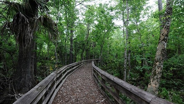 Barley Barber Swamp freshwater preserve