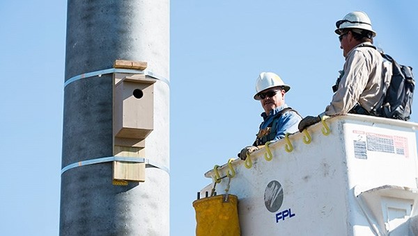 Employees install a bird house as part of the avian protection program