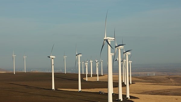 Solar wind farm with turbines