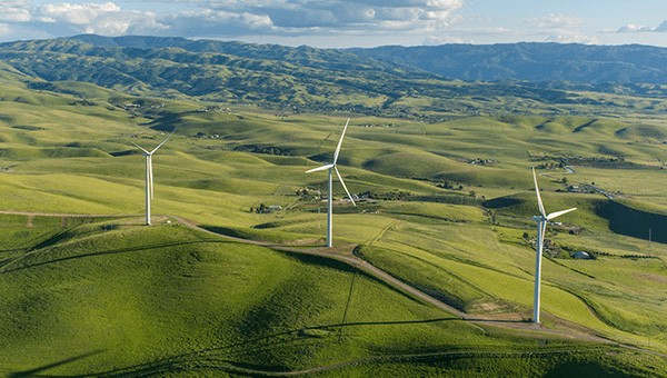 Wind farm with wind turbines