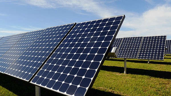 Solar farm with solar panels
