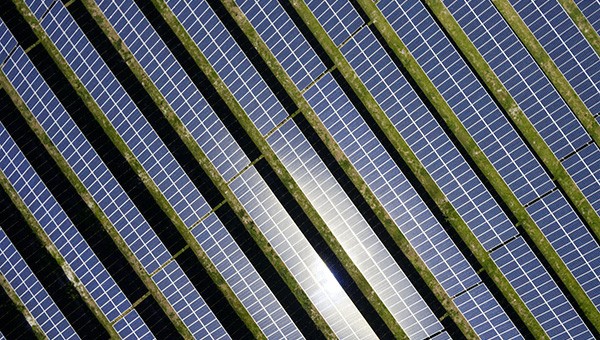 Solar farm with solar panels