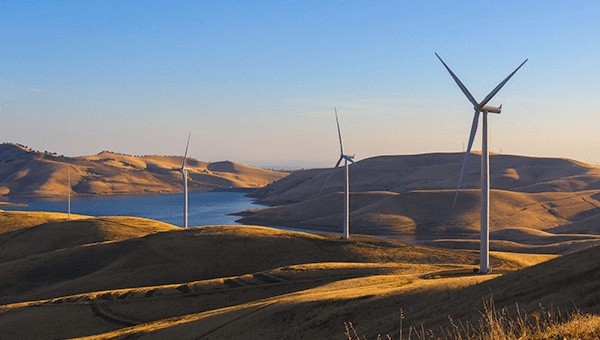Wind farm with wind turbines