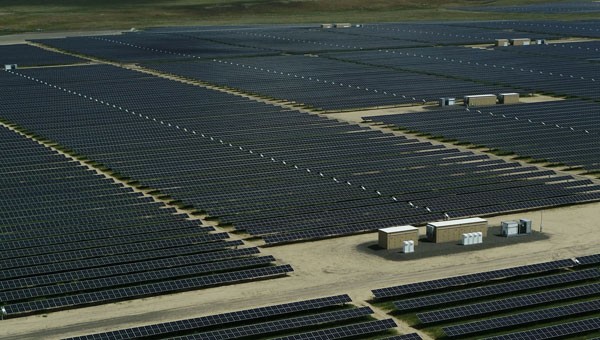Arial view of many rows of solar panels
